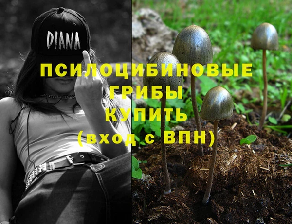 винт Алзамай